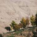 From Dead Sea to Al Karak