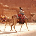 Taxi in Petra