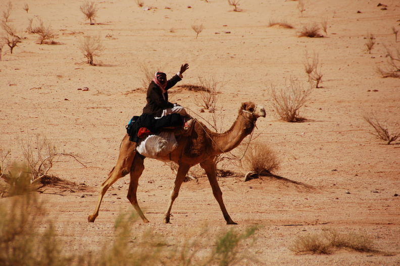 A Bedouin passing
