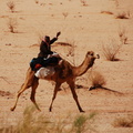 A Bedouin passing