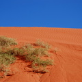 The famous red dunes of Wadi Rum