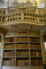 Mafra Library