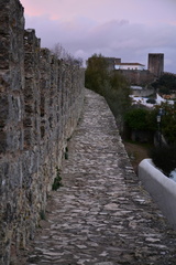 The famous town walls