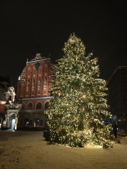 House of Blackheads and Christmas tree