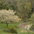 Spring in Umbria