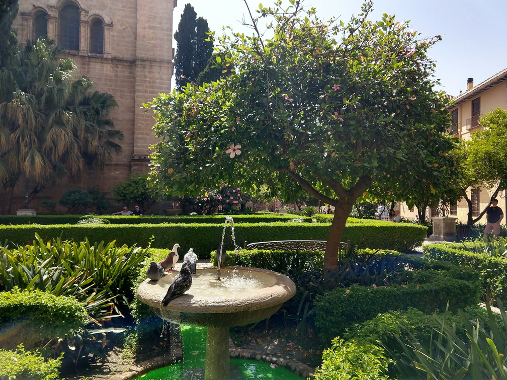 Cathedral gardens