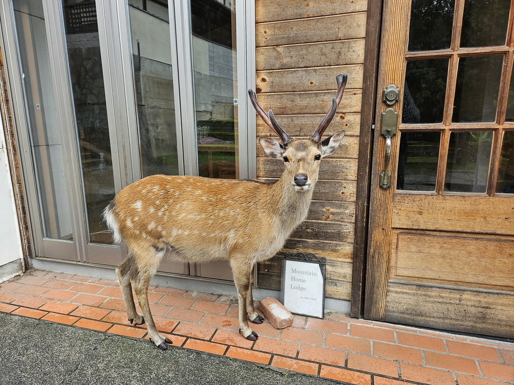 Nara