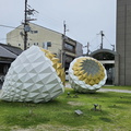 Nara