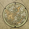 Nara