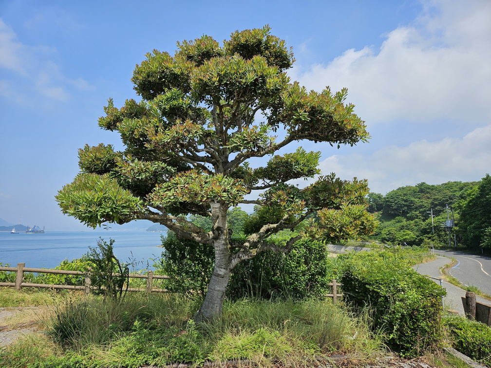 Mukaishima Rest Area