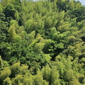 Omishima Island