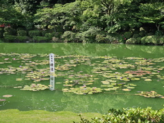 Hells of Beppu