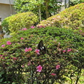Hells of Beppu
