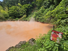 Hells of Beppu