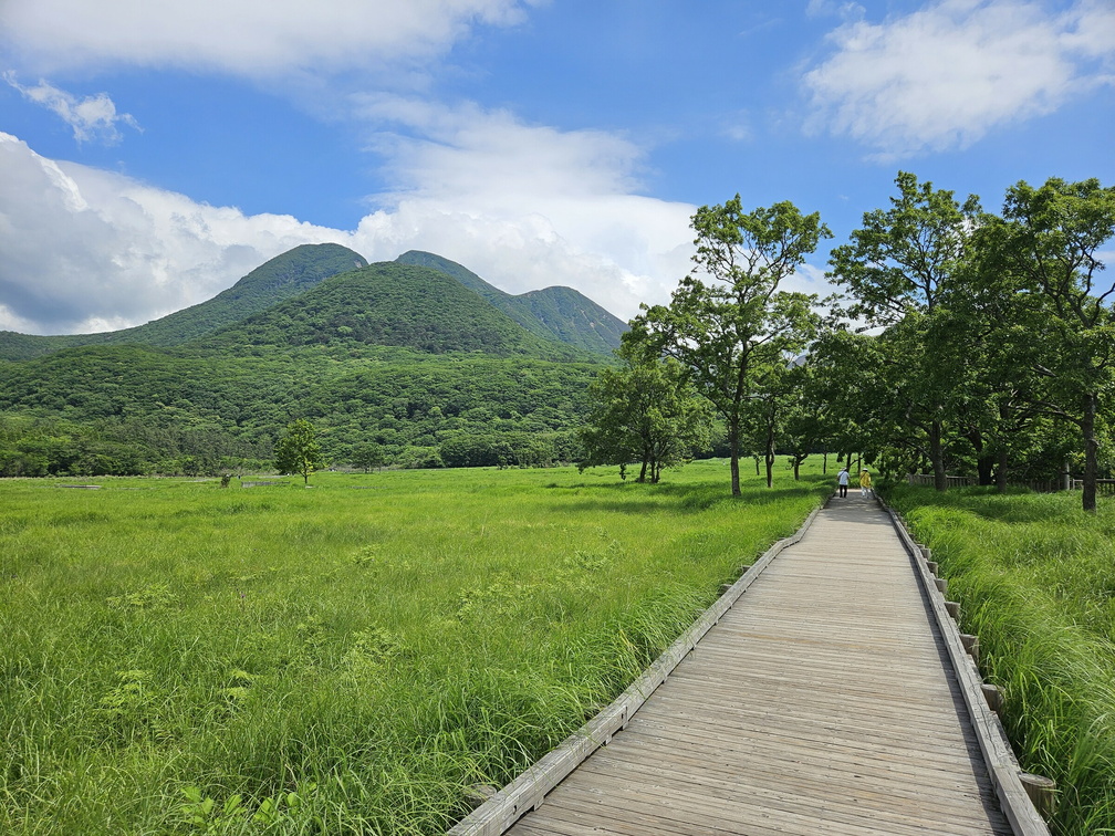 Tadewara Wetlands