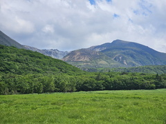 Tadewara Wetlands