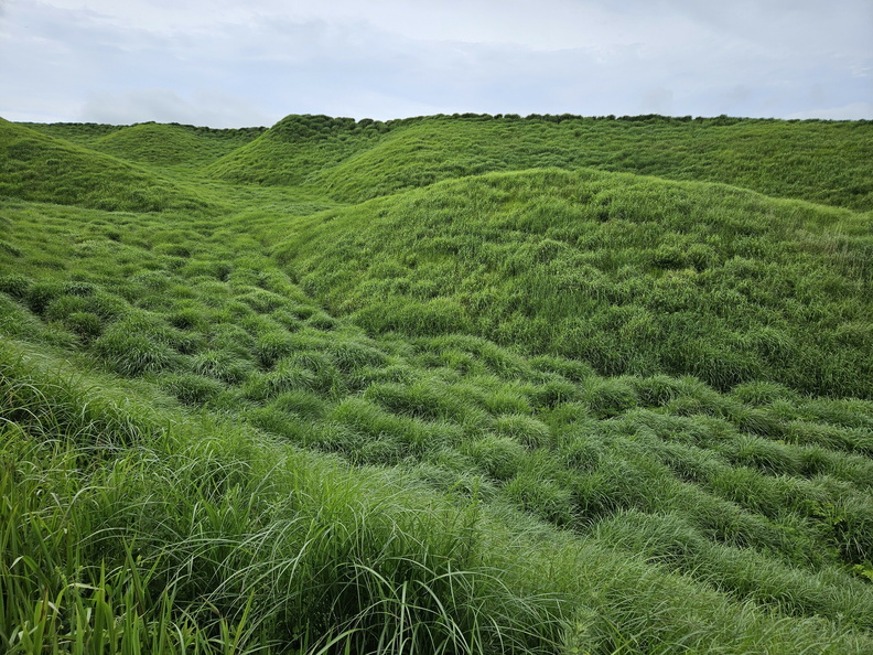 Kyūshū grasslands
