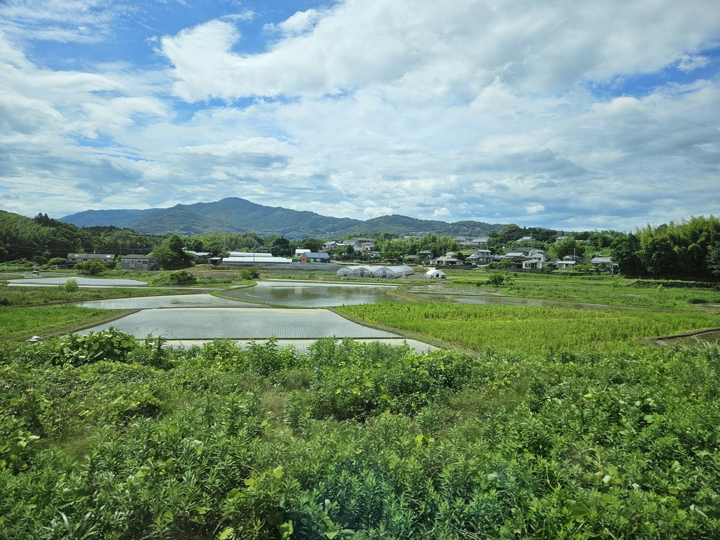 Japanese landscape