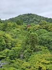 Kiyomizu-dera