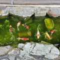 Ninenzaka