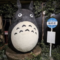 Totoro!