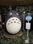 Totoro!