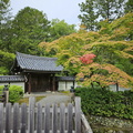 Saihō-ji (Koke-dera) Temple