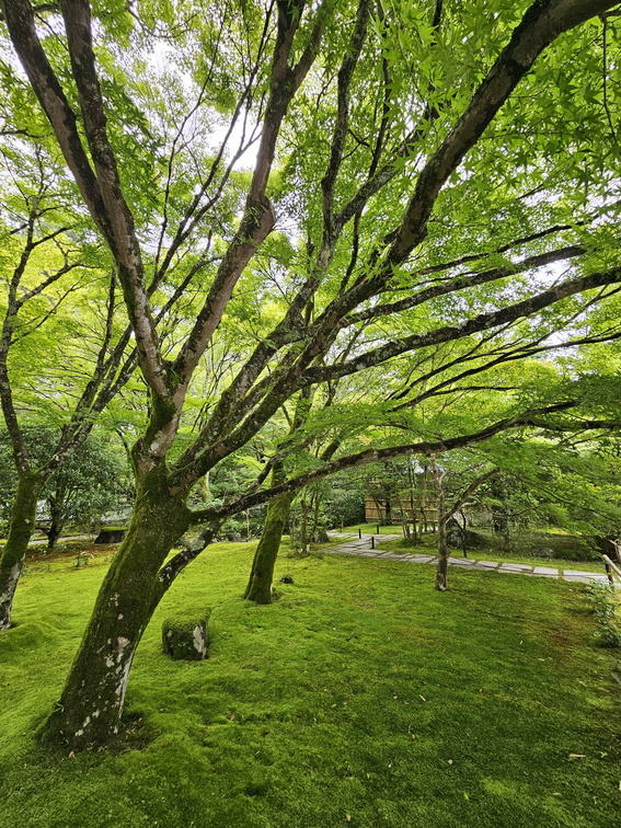Saihō-ji (Koke-dera) Temple