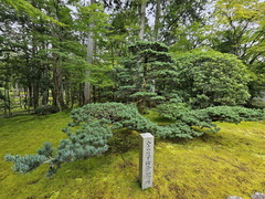 Saihō-ji (Koke-dera) Temple