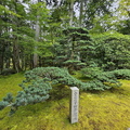 Saihō-ji (Koke-dera) Temple