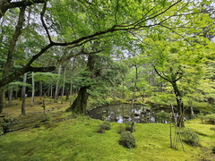 Saihō-ji (Koke-dera) Temple