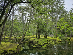 Saihō-ji (Koke-dera) Temple