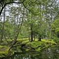 Saihō-ji (Koke-dera) Temple