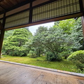 Jizōin Temple (Take-no-tera)