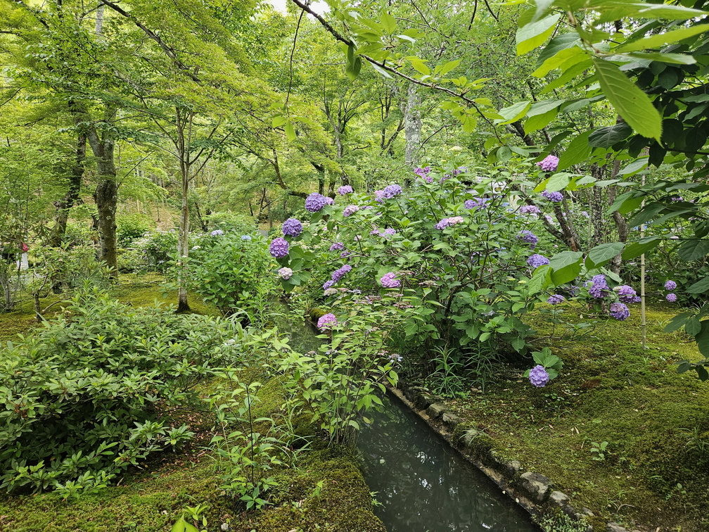Tenryu-ji