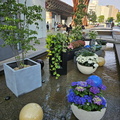 Kanazawa