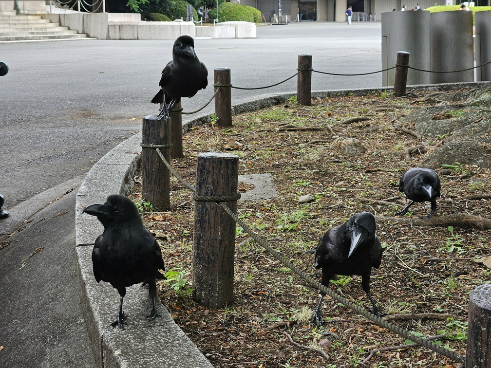 Ueno Park