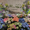 Tokyo Airport