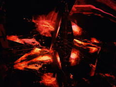 teamLab Borderless