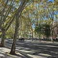 Avenida da Liberdade