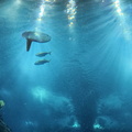 Oceanario