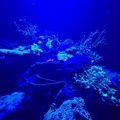 Oceanario