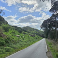 Sintra forests
