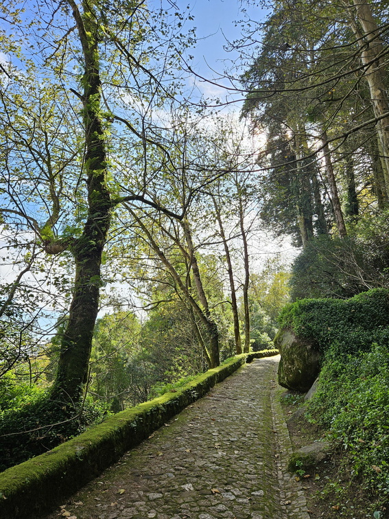 Castelo dos Mouros