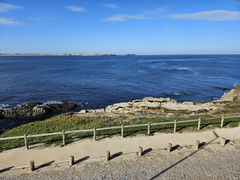 Baleal