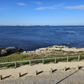 Baleal