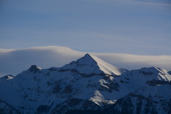 DSC 4286