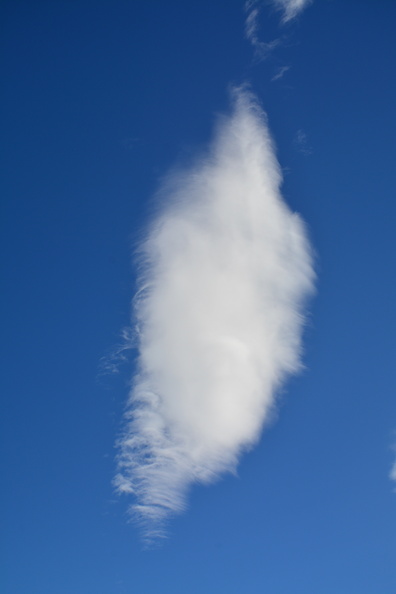 DSC_4294.jpg