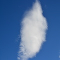 DSC 4294