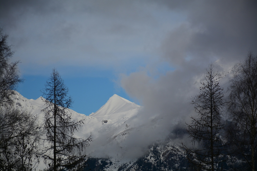 DSC 4314